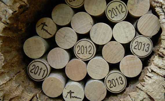 Bouchons de vin, Liège en bois Bouteilles de vin Liège pour bouchons  naturels Pour bouchons de vin en bois Pour bricolage, Decorati